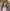 Bella – gav livet åter till fyra personer